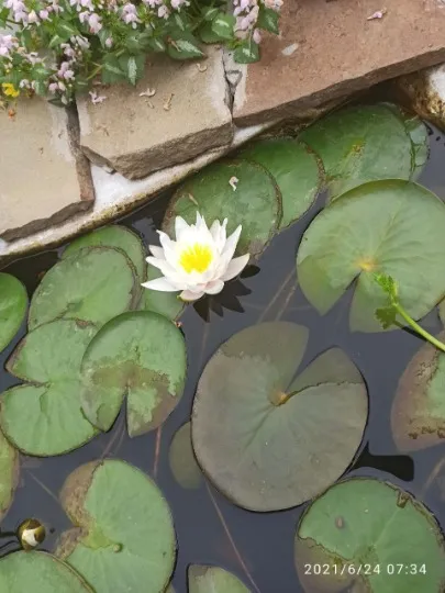Спогади про дім, який вже знищили окупанти