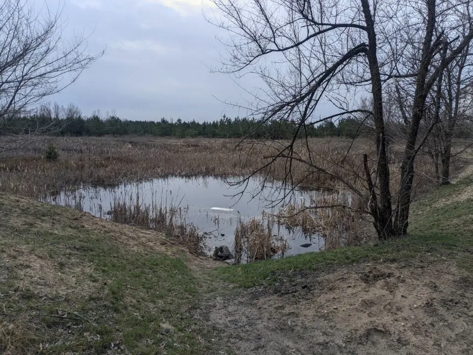 Сіверськодонецьк 2026