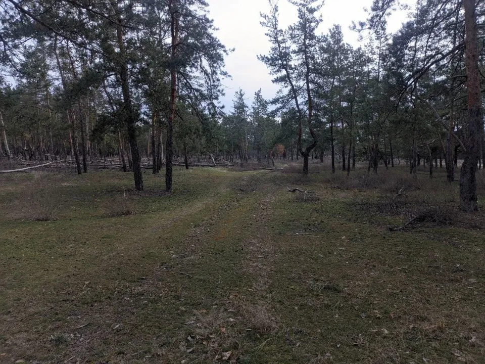 Сіверськодонецьк 2026