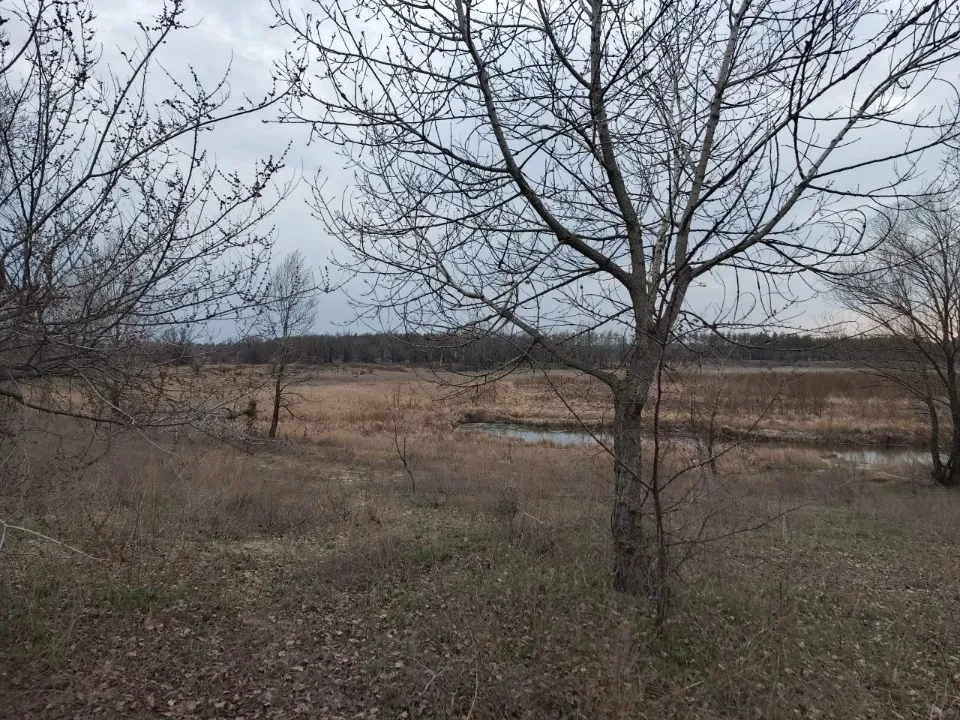Чисте озеро в Сіверськодонецьку