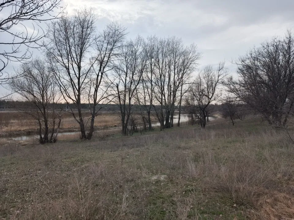 Чисте озеро в Сіверськодонецьку