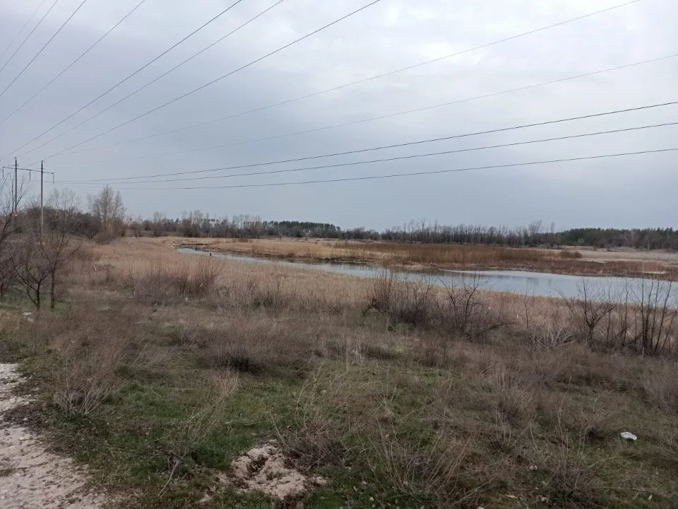 Чисте озеро в Сіверськодонецьку