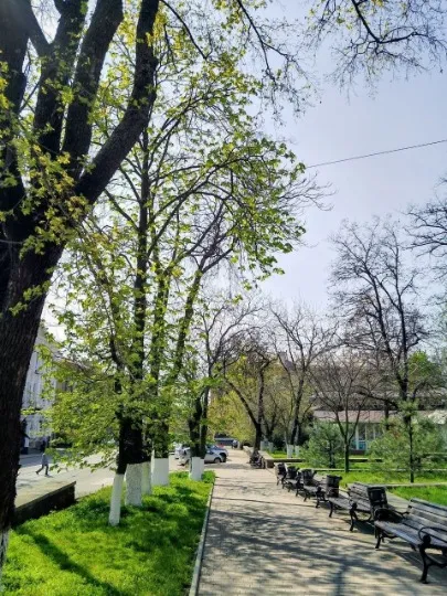 Донецьк 2026