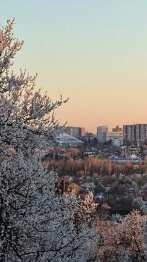 Луганськ 2026