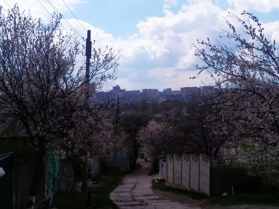 Луганськ 2026
