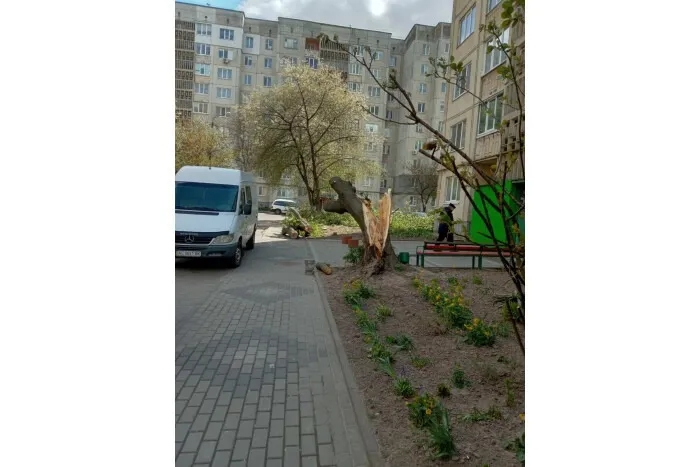 Негода в Луцькій громаді наробила лиха