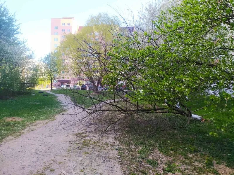Негода в Луцькій громаді наробила лиха