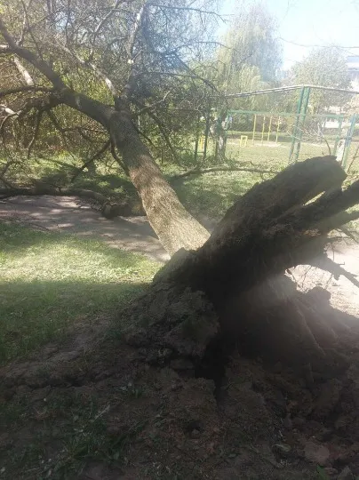 Негода в Луцькій громаді наробила лиха