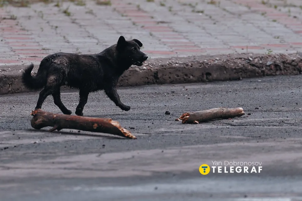 Реалії прифронтової Дружківки