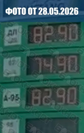пальне
