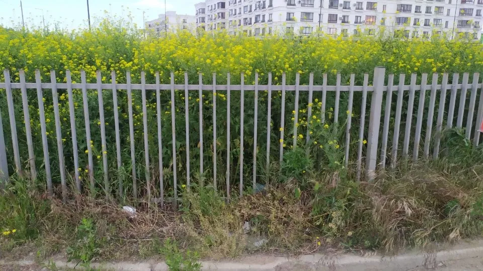 Територія ЖК Невський у Маріуполі, червень 2026 р.
