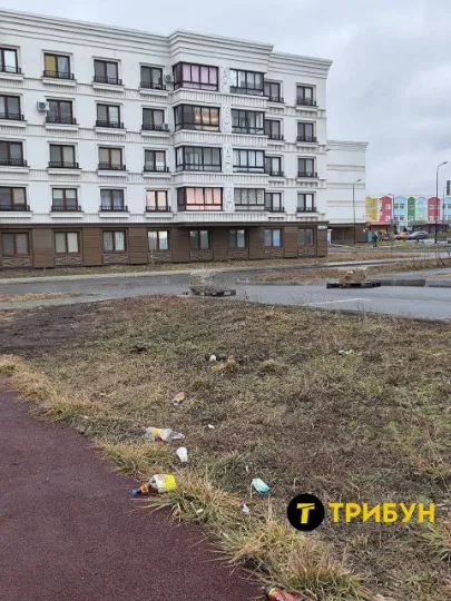 Територія поблизу будинків. Лютий 2026