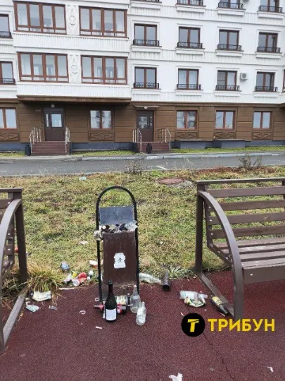 Територія поблизу будинків. Лютий 2026