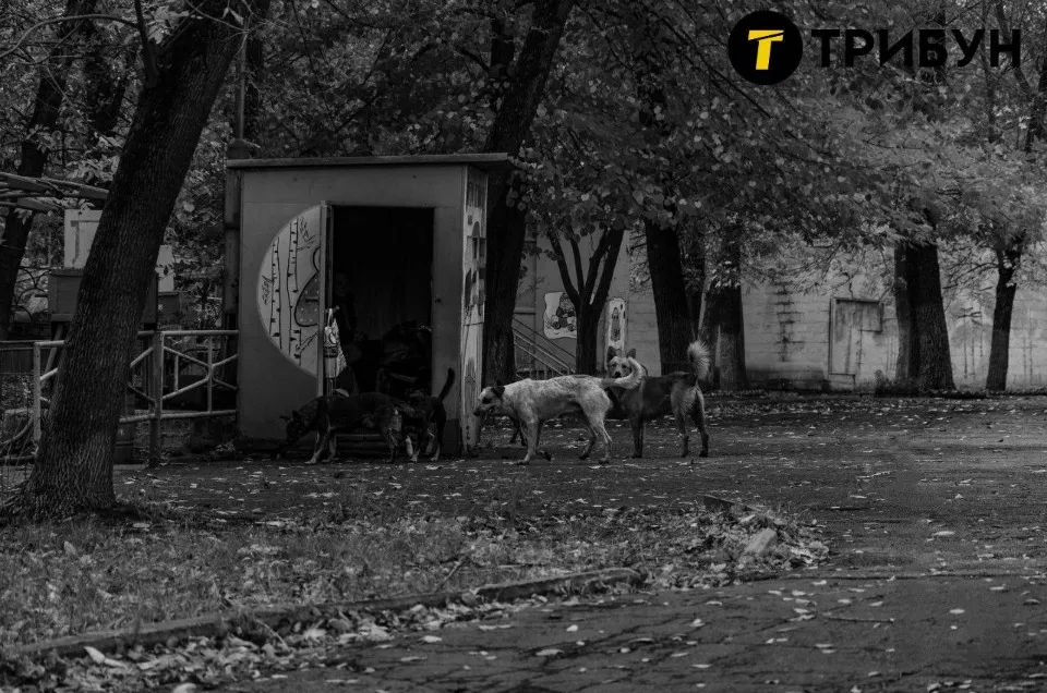 Стан атракціонів у 2023 р
