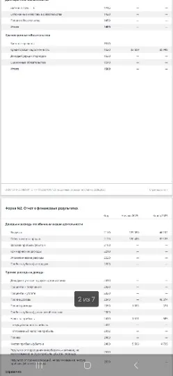Звіт про результати Стимулу, що підтверджує багатомільйонну заборгованість