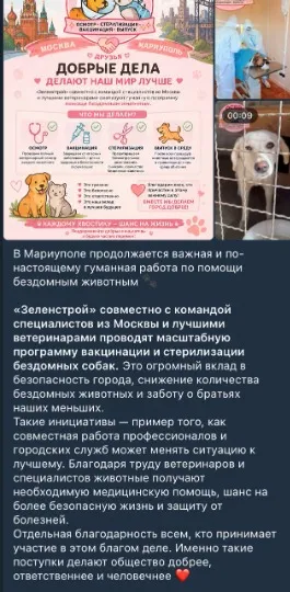 Окупаційні ресурси звітують про боротьбу з безпритульними собаками
