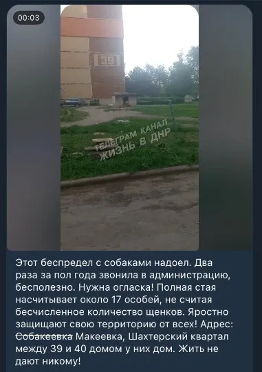 Повідомлення в місцевому чаті щодо собак в Макіївці