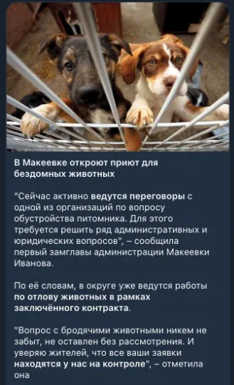 Окупанти обіцяють відкрити притулок для собак в Макіївці