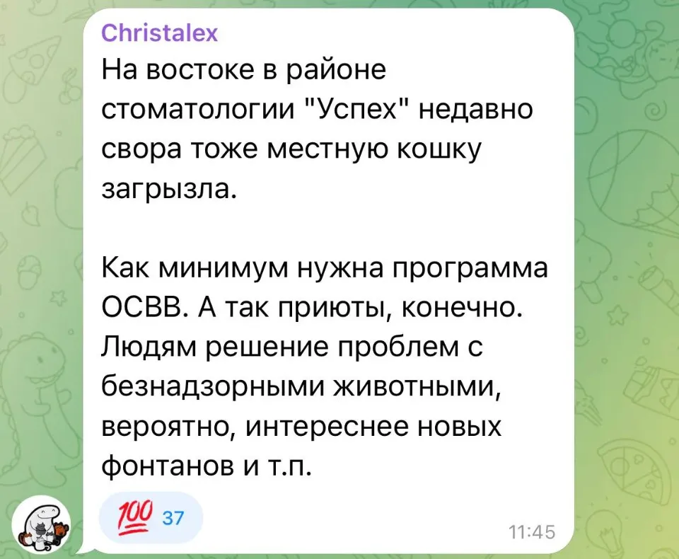 В місцевому чаті Луганська розповідають, як кішку розідрали безпритульні собаки