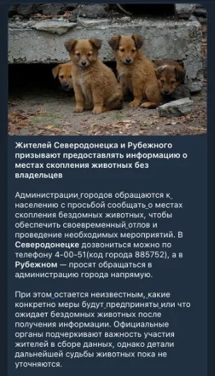 Заходи зі зменшення безпритульних собак від окупаційної влади