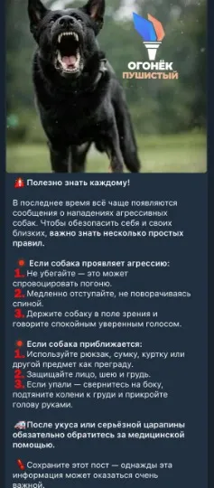 Памʼятка від окупантів у разі зустрічі з безпритульними собаками