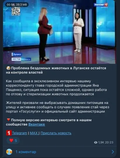 Окупаційні ресурси повідомляють, що тримають на контролі ситуацію з псами