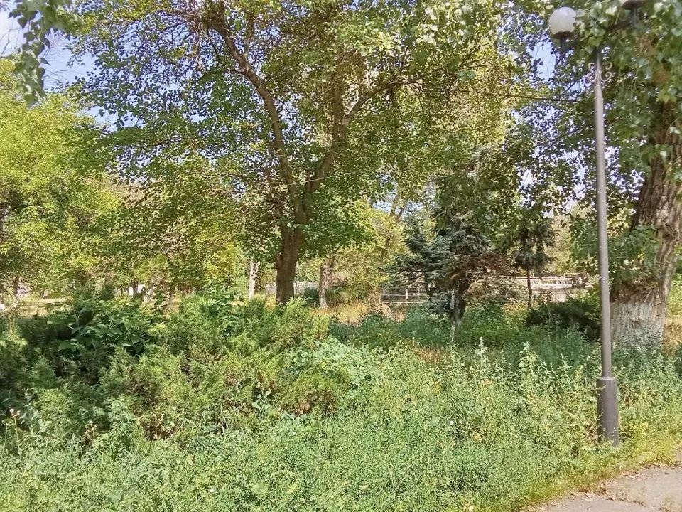 Луганськ, парк 1 Травня