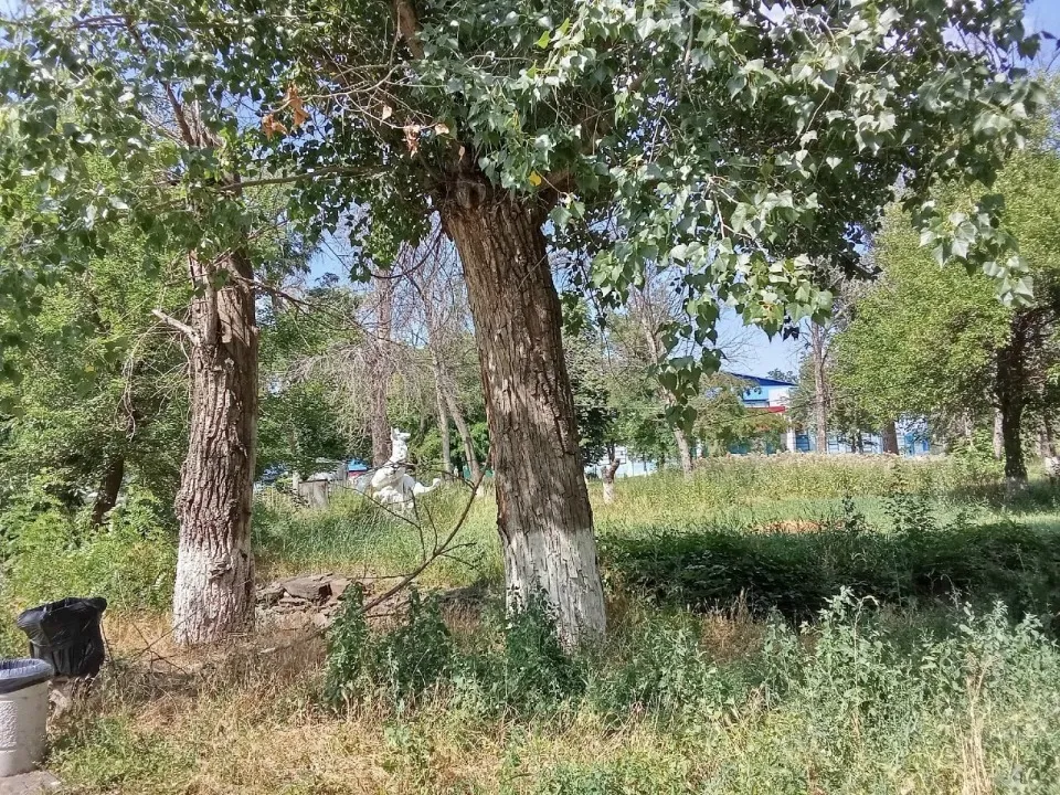 Луганськ, парк 1 Травня