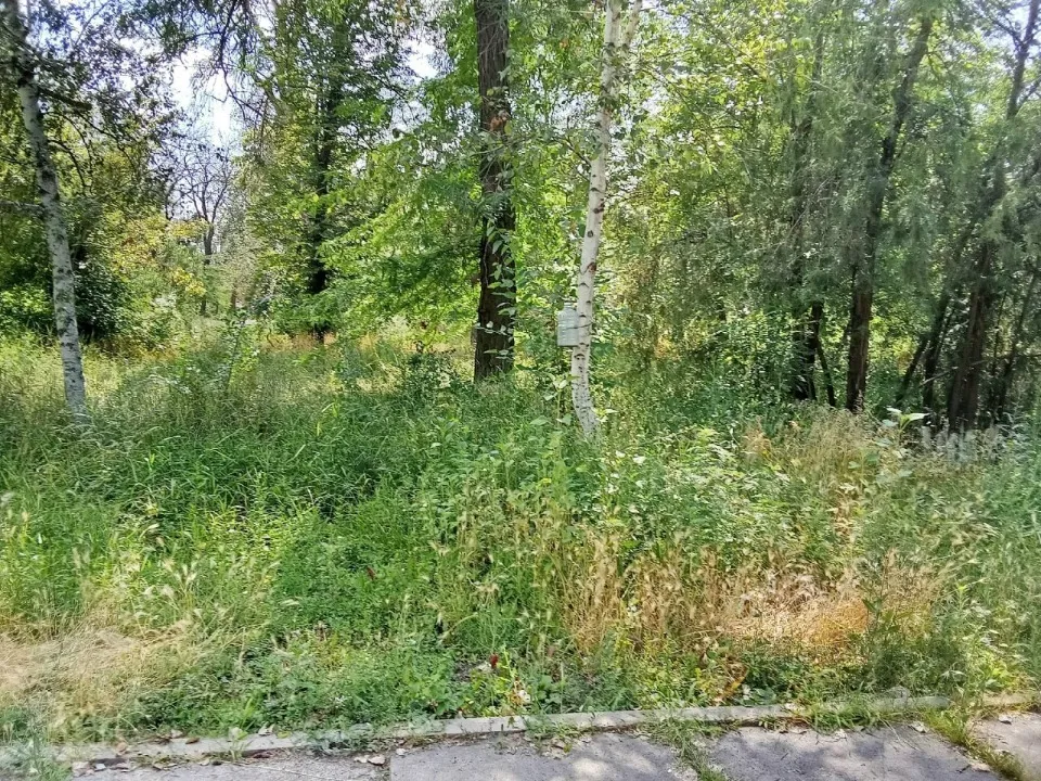 Луганськ, парк 1 Травня