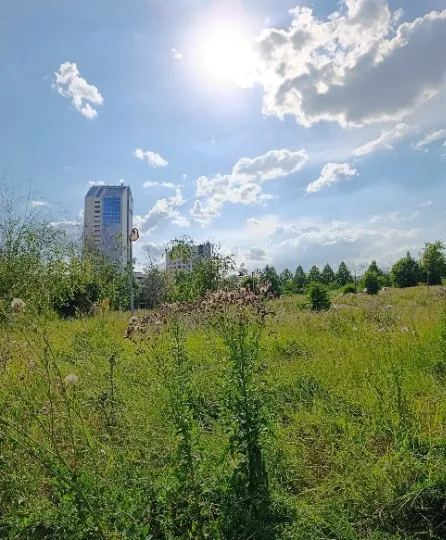 Донецьк 2026