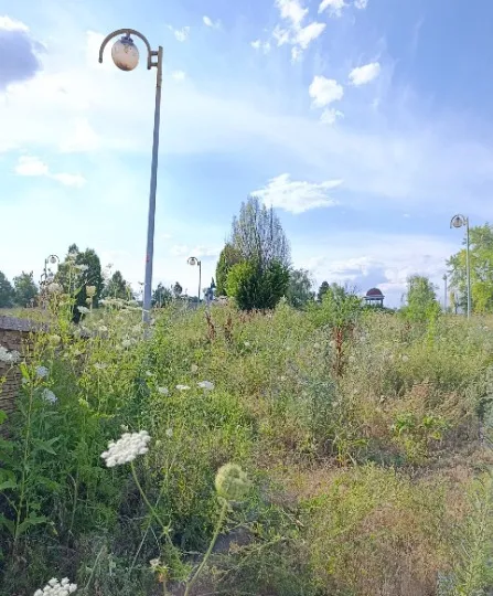 Донецьк 2026