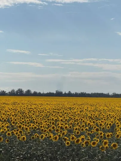 маріуполь