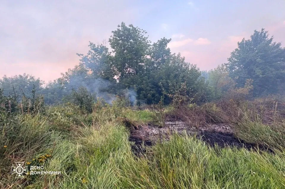 пожежа на донеччині дснс рятувальник