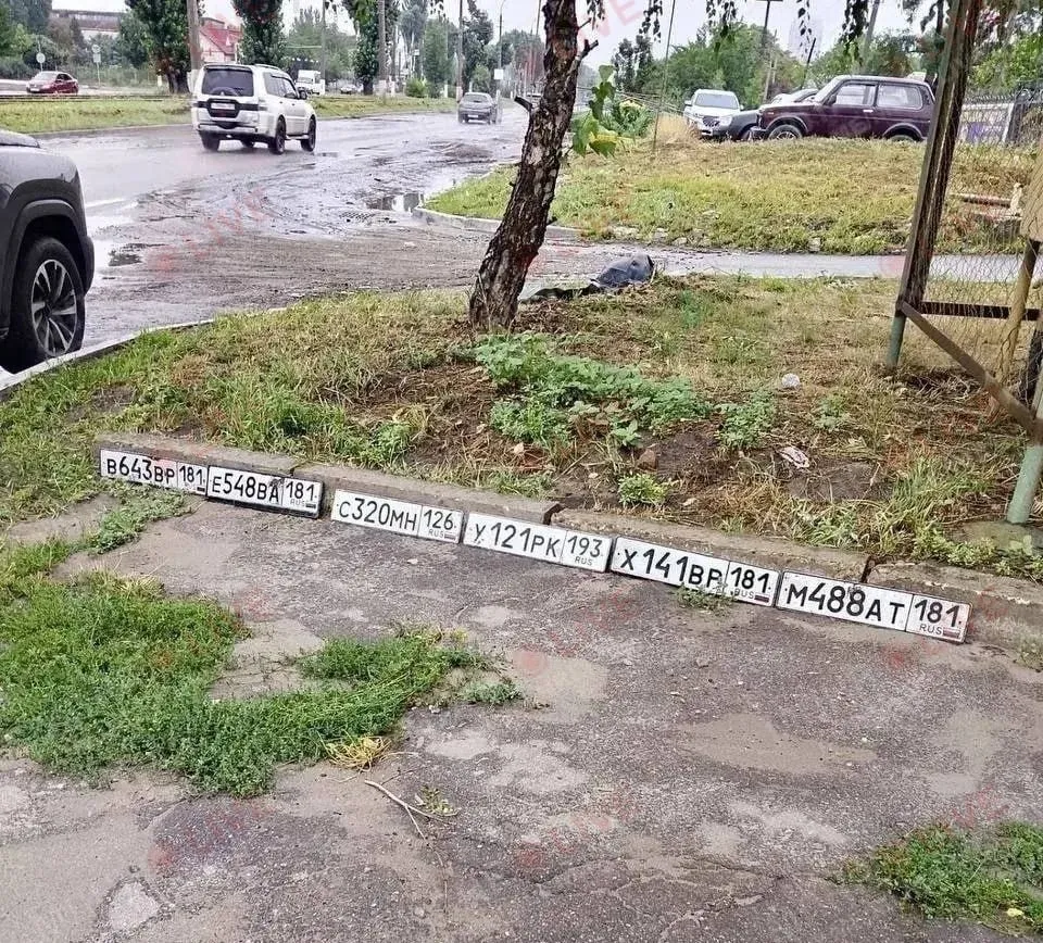 Власники авто шукають свої номерні знаки