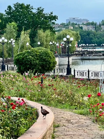 Парк Щербакова