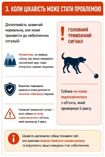 Інфографіка: ТРИБУН