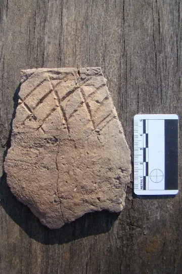 Perebiyne-1. Ceramic of Bronze Age