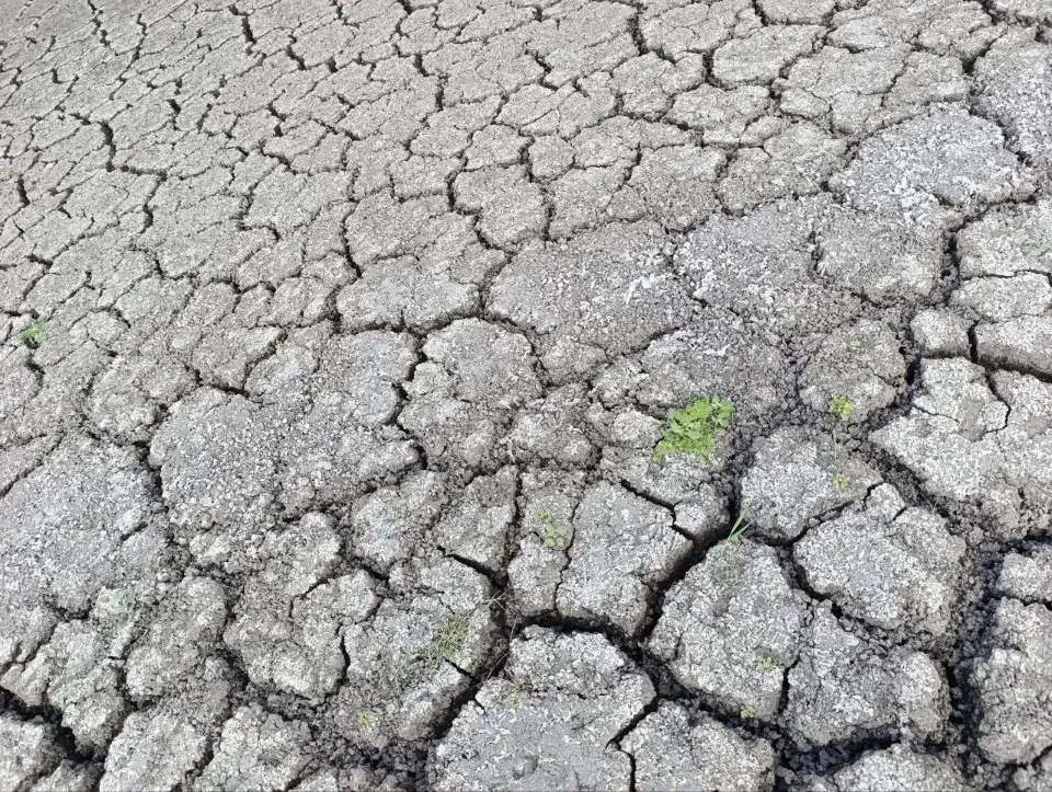 Старокримське водосховище висохло