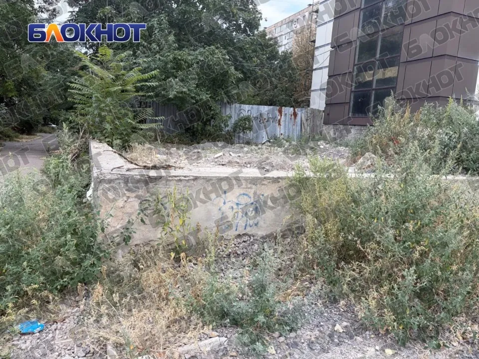 Комунальники не прибирають амброзію