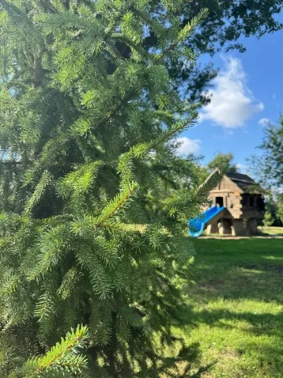 Парк Горького