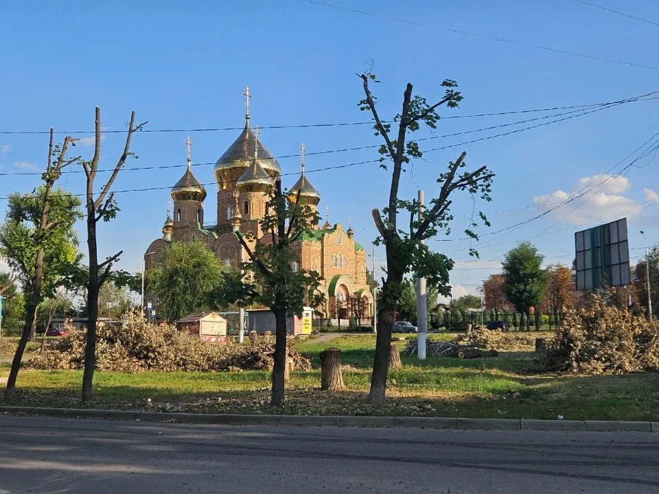 Фото: соцмережі